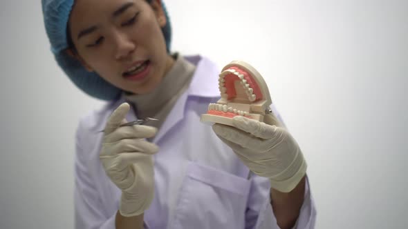 dentist holding teeth model denture and explorer mirror tool for showing and explaining to patient alt