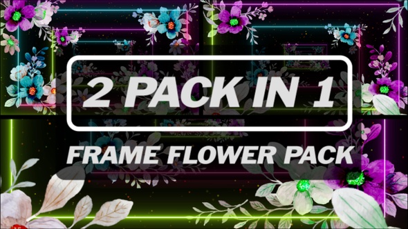 Frame Flower Pack