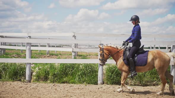 Female Rider On A Pearl HorseWith A Blu e Saddle Running In The Sandy Parkour alt