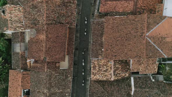 Aerial footage of a group of horses in the streets of a city in Minas gerais, Brazil. alt