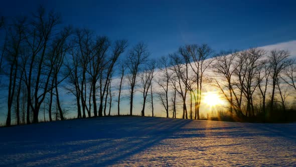 Shoot Of Sunset In Winter Forest 3