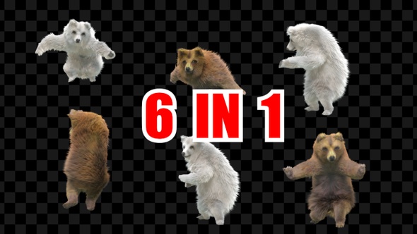 Bear Dancing 6 Pack alt