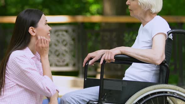Smiling Female Volunteer Talking With Elderly Woman in Wheelchair, Support alt