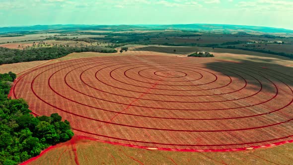Panoramic aerial view of a circular crop field in Brazil. alt