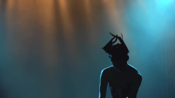 Silhouette of a Graceful Ballerina in a Chic Image of a Black Swan. Classic Ballet Pas. Shot in a alt