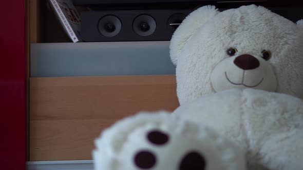 Sliding Horizontal Motion of a Big White Teddy Bear on the Floor in front of a TV Unit alt