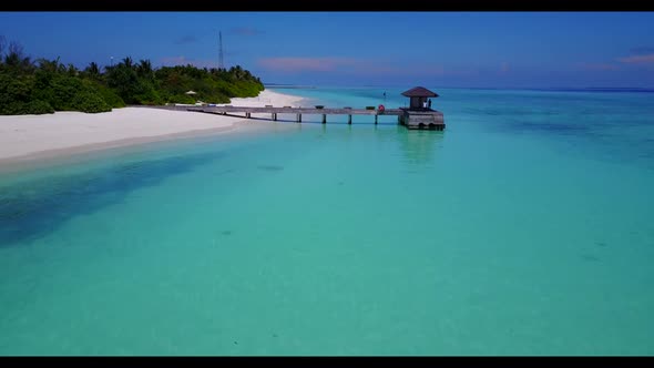 Aerial drone travel of tranquil island beach wildlife by blue lagoon with white sand background of a alt