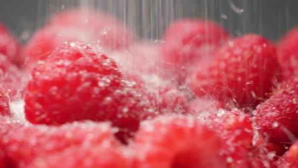 Sugar Falls on Ripe Raspberries Closeup Slow Motion alt
