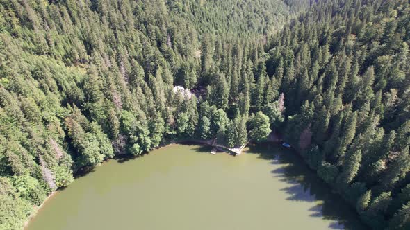 Aerial View of Synevyr Lake in Carpathians Ukraine Europe alt