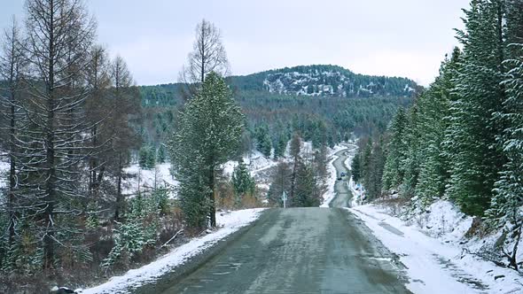 Scenic Early Spring View with Snowy Dirt Road Through the Pass Green Larch Trees Snow and Forest on alt