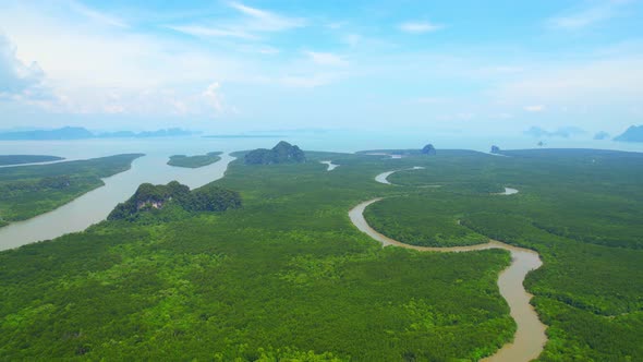 Drones are flying over winding rivers and large mangrove forests alt