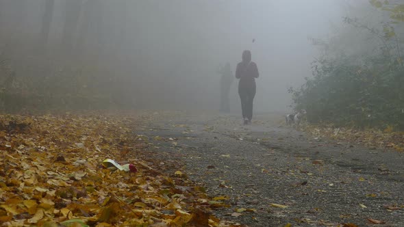 Family Walk In The Park During Autumn Misty Day alt