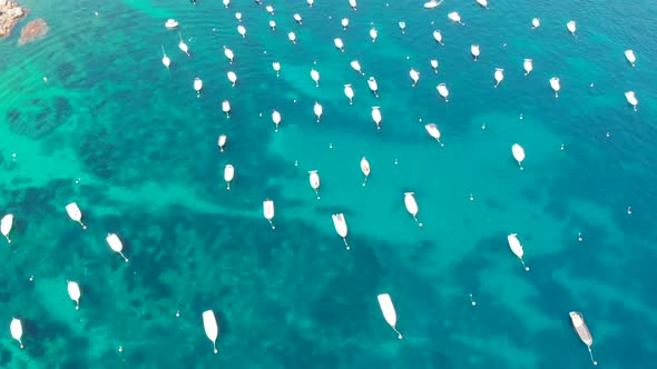 A sea of boats moored off of Calella de Palafrugell, Costa Brava, Cataluña, Spain.  A dramatic view alt