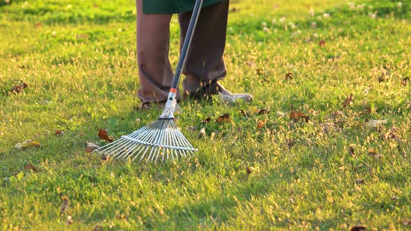Rake and Legs of Gardener. alt