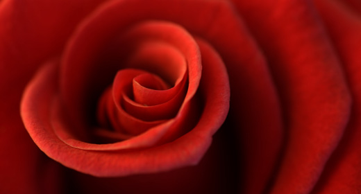 nature, gardening, green spaces