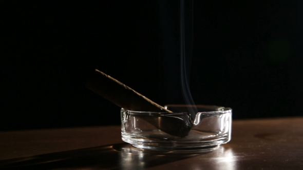 Smoking Cigar In An Ashtray., Stock Footage | VideoHive