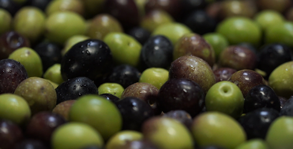 Green & Purple Olives