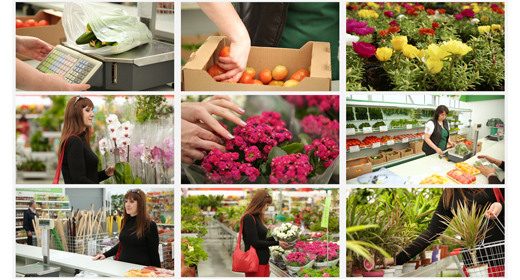 Flower and Vegetable Shop