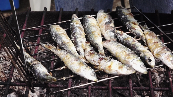 Cooking Sardines Fish On Barbeque