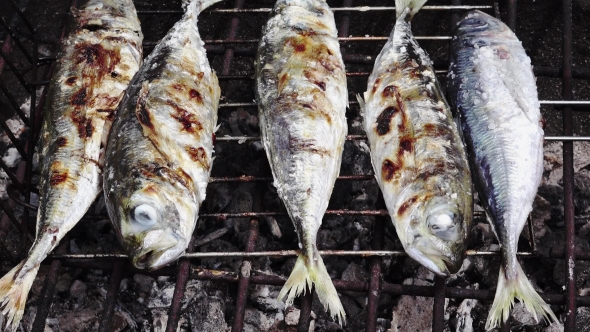 Cooking Fish On Barbeque