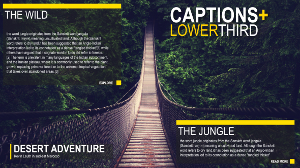 Captions + Lower - VideoHive 16532069