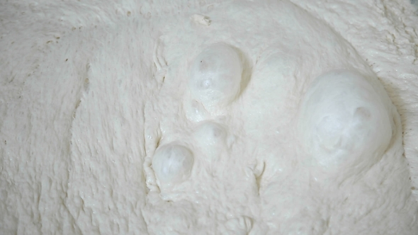 Yeast Dough Rises And Bubbles alt