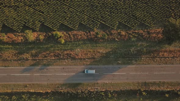 Car Driving on the Highway