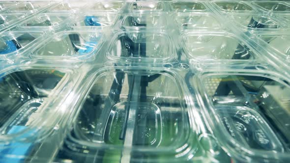 Transparent Plastic Containers Are Moving Along the Conveyor alt
