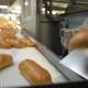 Automatic Conveyor Belt In a Bakery - VideoHive Item for Sale