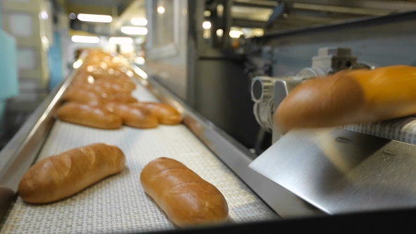 Automatic Conveyor Belt In a Bakery alt