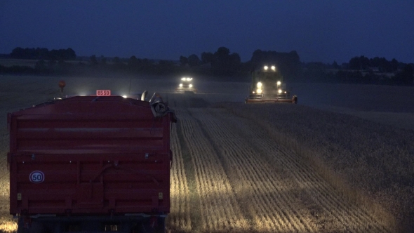 Truck Standing On Stubble And Harvester With Lights Harvest Field At Night. 