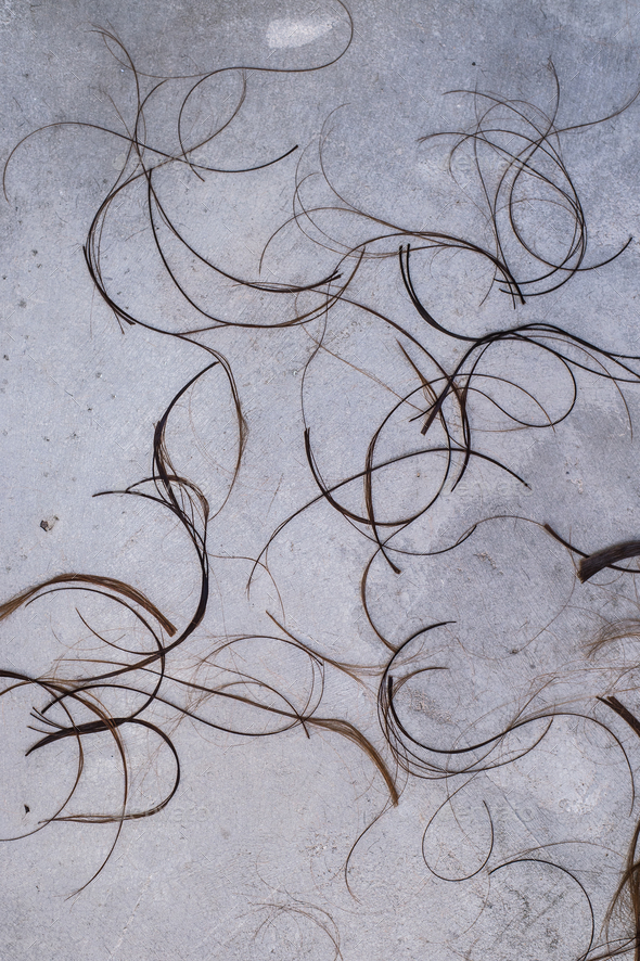 Clippings or Locks of Hair on a grey concrete floor Background - Stock Photo - Images