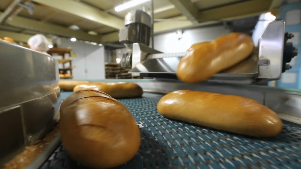 Fresh Bread On The Conveyor alt