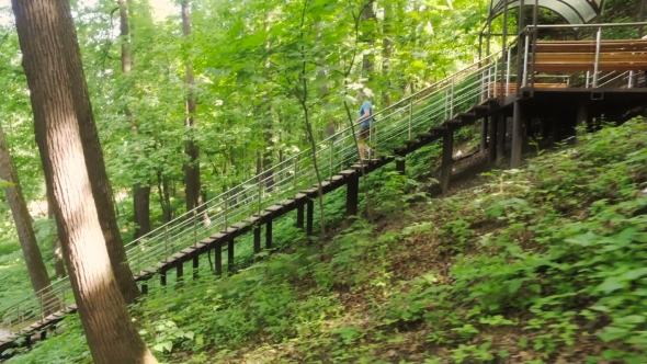 Adult Man Running Jogging Down The Stairs Outdoors In a Forest Nature On a Forest Trail