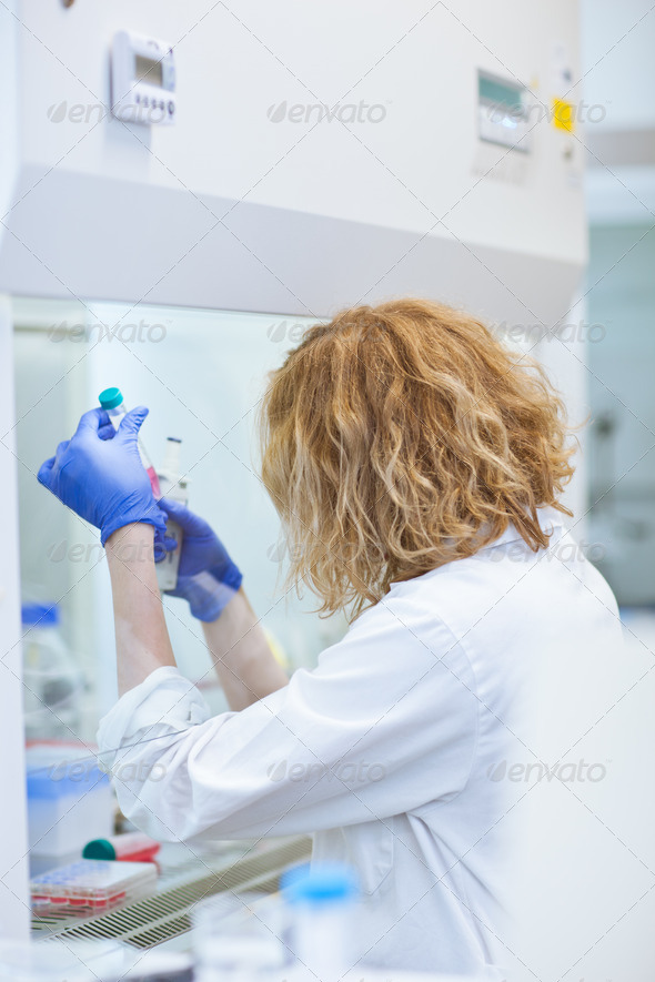 portrait of a female researcher doing research in a lab (shallow - Stock Photo - Images