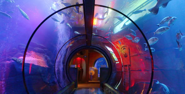 Underwater Tunnel