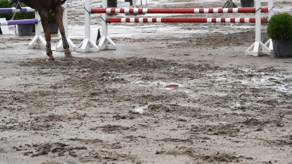  Of Horse Feet. Horse Runs On The Sand And Jumps Through a Barrier.  alt