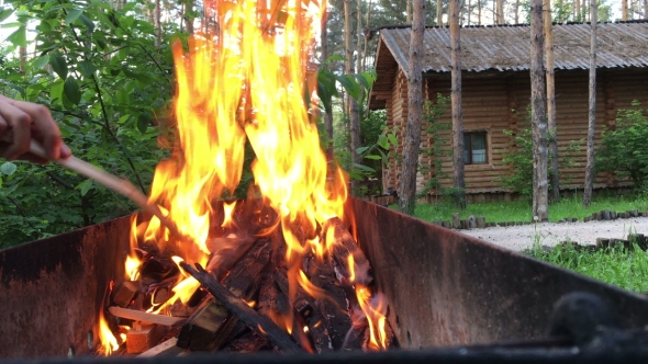 Burning Wood In a Brazier. Strong Fire In The Grill.