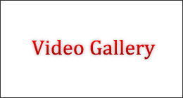 Dynamic video gallery