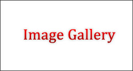 Dynamic image gallery