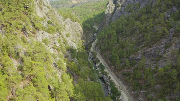 Steep Cliffs and Gorge with Pine Forest alt