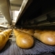 Production Of Bread - VideoHive Item for Sale