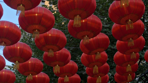 Chinese Lanterns, Lunar New Year