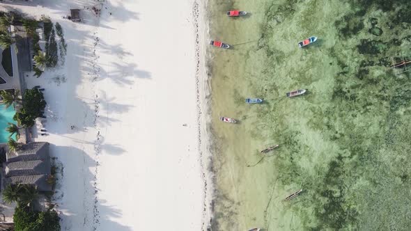 Zanzibar Tanzania  Vertical Video of the Ocean Near the Coast Slow Motion alt