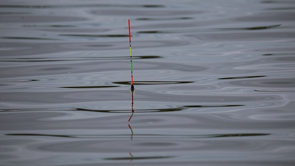 Fishing the Float Bobs on the Waves alt