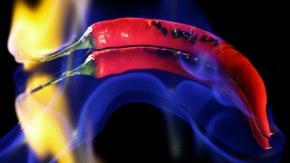 Burning Hot Chilli Pepper With Flame On Black Mirror Background