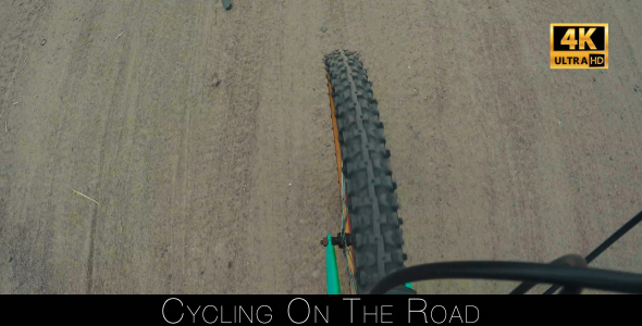 Cycling On The Road alt