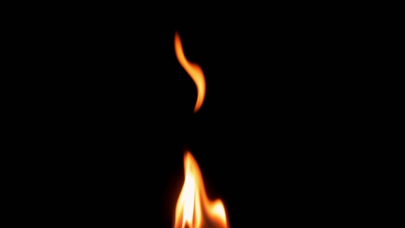 Natural Burning Fire Flame on The Black Background