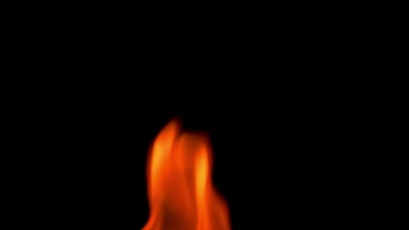 Natural Burning Fire Flame On The Black Background