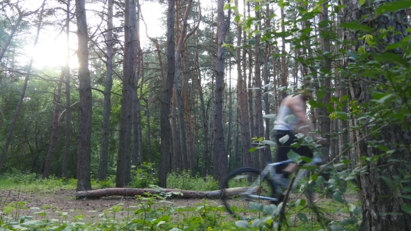 Two Bikers Riding a Bike On Pathway In Forest. Mountain Bikers Passing By The Camera In a Green alt